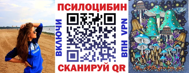 Галлюциногенные грибы Cubensis  Константиновск 